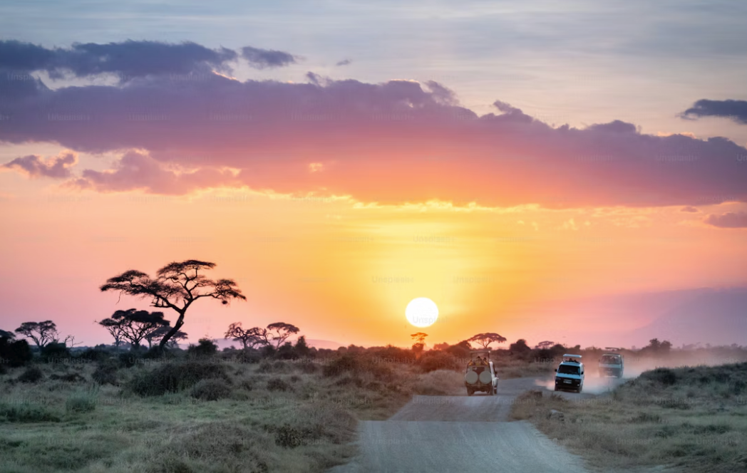 Serengeti sunset